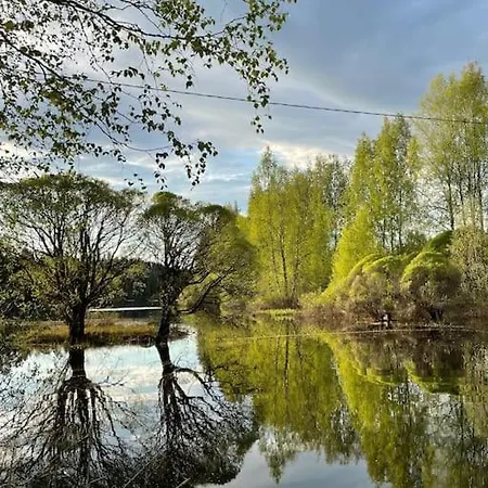 Sahi Iisalmi